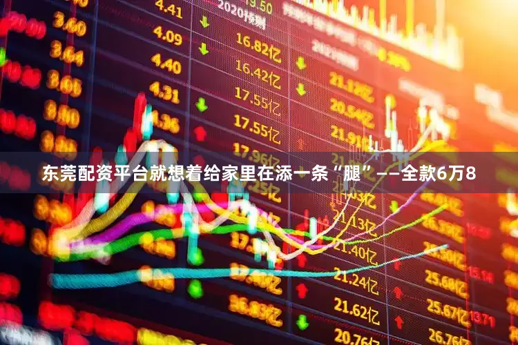 东莞配资平台就想着给家里在添一条“腿”——全款6万8