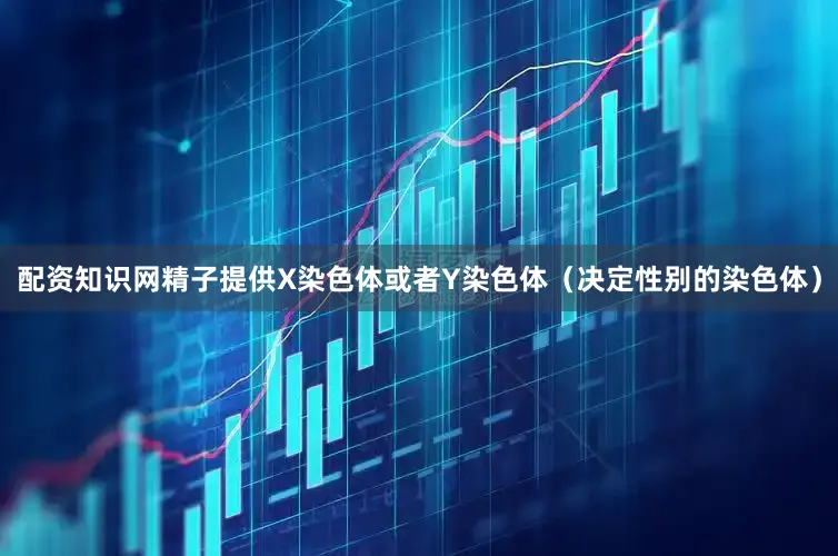 配资知识网精子提供X染色体或者Y染色体（决定性别的染色体）