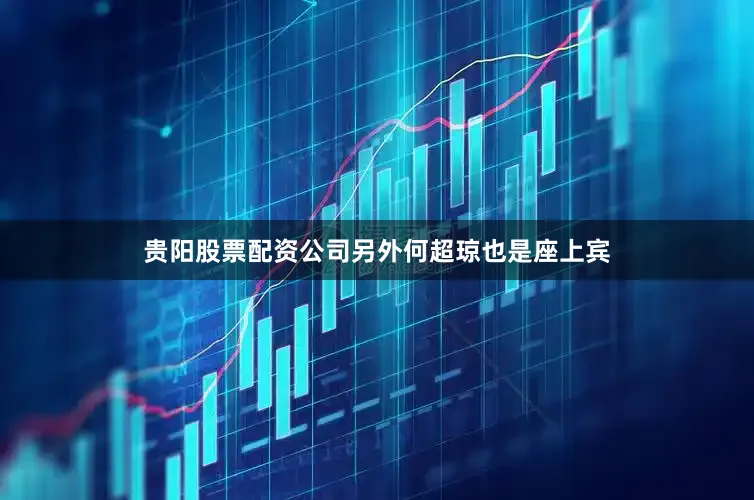 贵阳股票配资公司另外何超琼也是座上宾