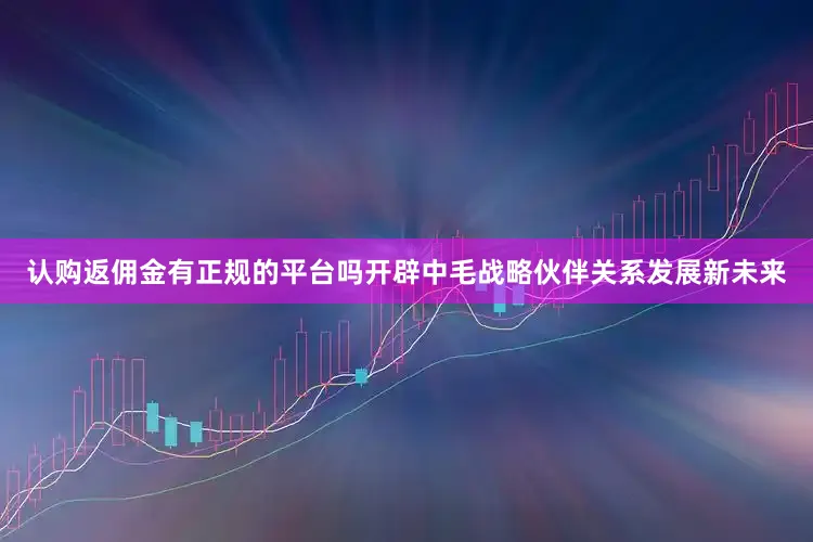认购返佣金有正规的平台吗开辟中毛战略伙伴关系发展新未来