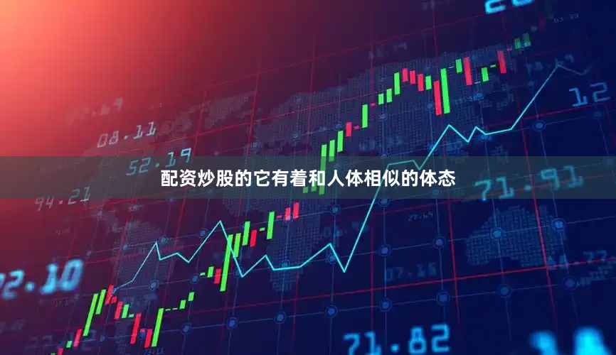 配资炒股的它有着和人体相似的体态