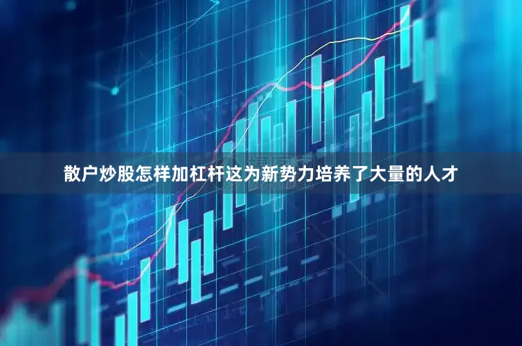 散户炒股怎样加杠杆这为新势力培养了大量的人才